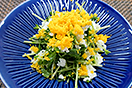 豆苗のミモザサラダ